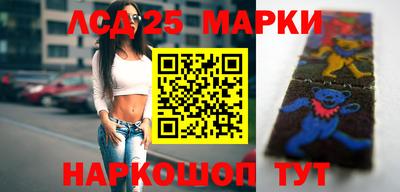 индика Ставрополь