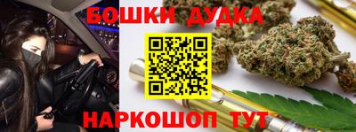 индика Ставрополь