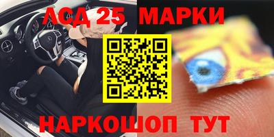 индика Ставрополь