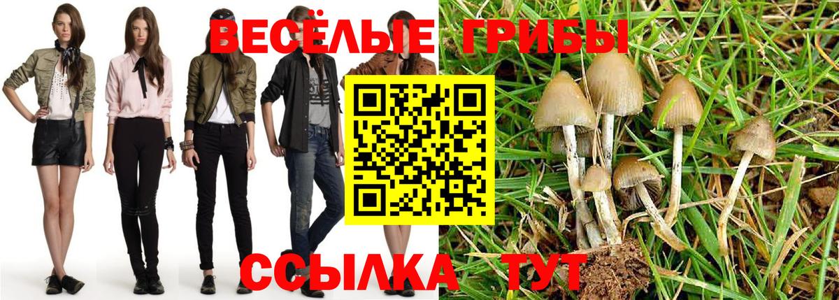 Псилоцибиновые грибы мухоморы  Галлюциногенные грибы мицелий  Петрозаводск  Вход с VPN 