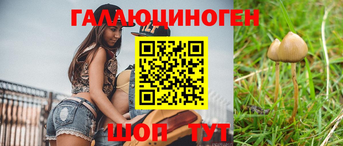 Галлюциногенные грибы мухоморы Петрозаводск